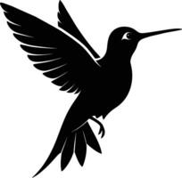 Hummingbird silhouette black illustration vector