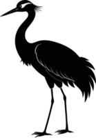 A silhouette of a crane bird standing on a white background vector