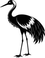 A silhouette of a crane bird standing on a white background vector