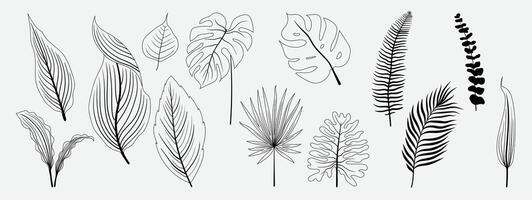 Tropical leaves hand drawn line art and silhouette set. Collection of leaf branch, monstera, palm leaves black white drawing contour simple style. Design illustration for print, logo, branding. vector