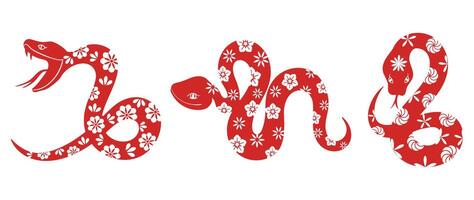 chino nuevo año serpiente diseño colocar. elemento zodíaco firmar año de el serpiente con Cereza florecer flor modelo en serpiente rojo color. ilustración diseño de fondo, tarjeta, pegatina, calendario. vector