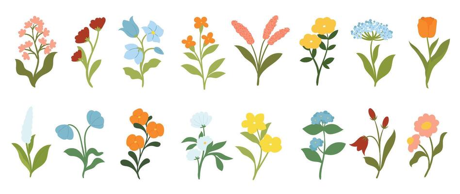 Collection of floral and botanical elements. Set of leaf, foliage wildflowers, plants, bloom, leaves and herb. Hand drawn of blossom spring season s for decor, website, wedding card and shop.