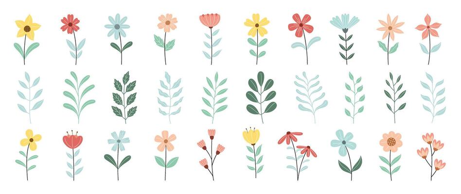 Collection of floral and botanical elements. Set of leaf, foliage wildflowers, plants, bloom, leaves and herb. Hand drawn of blossom spring season s for decor, website, wedding card and shop.