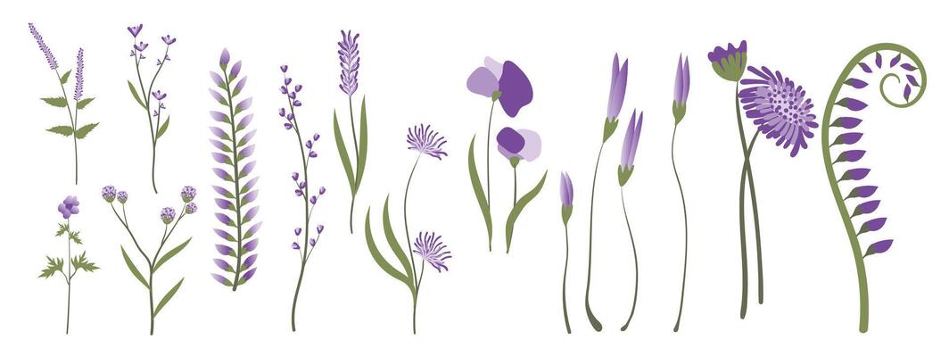Collection of floral and botanical elements. Set of leaf, foliage wildflowers, plants, bloom, leaves and herb. Hand drawn of blossom spring season s for decor, website, wedding card and shop.