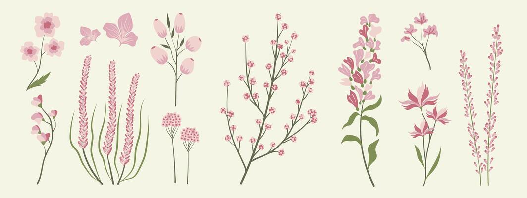 Collection of floral and botanical elements. Set of leaf, foliage wildflowers, plants, bloom, leaves and herb. Hand drawn of blossom spring season s for decor, website, wedding card and shop.