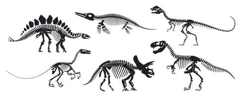 Dinosaur skeleton fossil, isolated dino bones vector