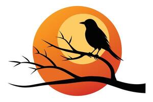 pájaro silueta en puesta de sol rama ilustración vector