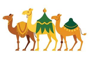 Sacrificial Camel animals for Eid-ul-Azha illustration on white background vector