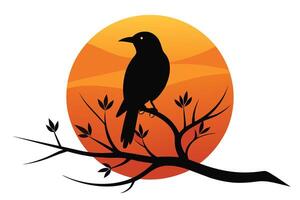 Bird Silhouette on Sunset Branch Illustration vector