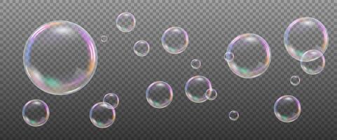 Soap Bubbles Flying vector