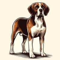 A Beagle Dog Standing And Looking Forward vector