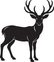 Deer - Black and White Illustration, Isolated On White Background vector