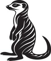 suricata - ilustración. aislado en blanco antecedentes. vector