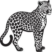 leopardo en el estilo de grabado en un blanco antecedentes vector