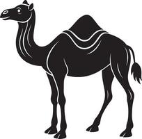 Illustration of a camel on a white background. vector