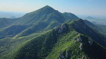 aereo Visualizza di un' soleggiato montagna con coperto di alberi versante video