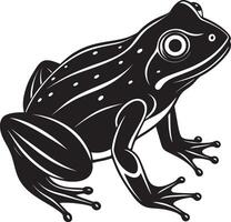 Frog - Black and White Illustration Isolated on White Background vector