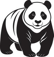 Black and white panda isolated on white background. illustration. vector