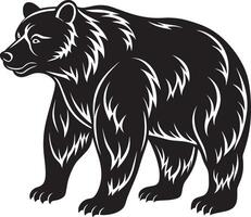 negro oso. ilustración aislado en blanco antecedentes. vector