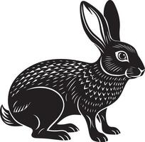 Rabbit - Black and White Cartoon Illustration, Image. vector