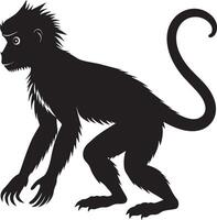 Monkey black silhouette on a white background, vector
