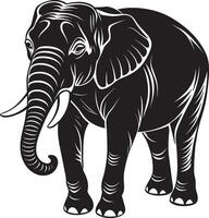 Elephant - black and white illustration for tattoo or t-shirt design vector