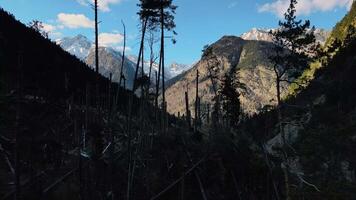 aereo Visualizza per montagna passaggio verde foresta natura bellezza maestà. Esplorare abbraccio ringiovanimento bellissimo selvaggio natura. percorsi viaggiato svelare natura selvaggia selvaggio tutti attraverso montagna passaggio. video