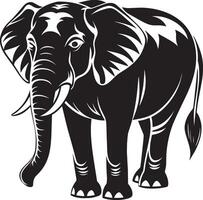 Elephant - black and white illustration vector