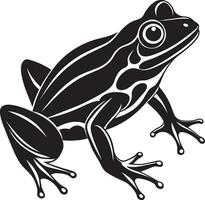 Frog - Black and White Illustration Isolated on White Background vector