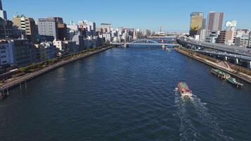 Tokio, Japan - januari 27, 2024. Tokio sumida rivier- japans stedelijk schoonheid de stad sereen stromen sumida rivier- natuur met stad leven harmonie. sumida rivier- sereen wateren Tokio levendig instelling Aziatisch charme video