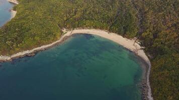 Birdseye view of lake surrounded by trees in natural landscape video