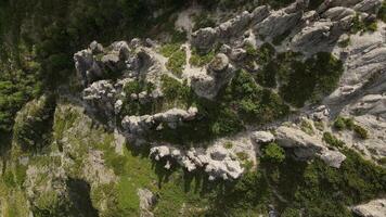 Antenne Aussicht von natürlich Felsen Formationen Stein Pilze im das altai Reservieren video
