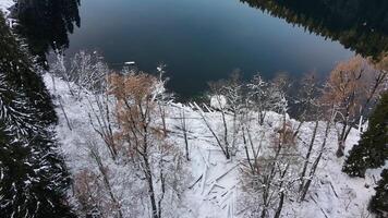 aéreo. reflexão do a floresta dentro uma lindo alpino lago dentro a montanhas video