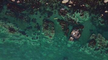 falaises mer harmonie sauvage la nature spectacle aérien Haut vue mer caressant falaises Soleil éclairant les deux. falaises par mer Stupéfiant mélange Montagne océan majestueux vues intacte région sauvage. video