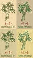 Set of drawing EUCOMMIA in Chinese in various colors. Hand drawn illustration. The Latin name is EUCOMMIA ULMOIDES OLIV. vector