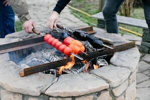 Tomatoes, eggplant and sweet peppers on skewers. photo