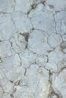 Vertical image of a dry and broken up salt desert photo