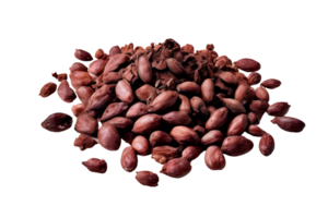 Cacao nibs, crushed and peeled cocoa, isolated on transparent background, cut out, or clipping path. png