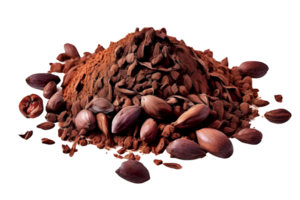 Kakao Federn, zerquetscht und geschält Kakao, isoliert auf transparent Hintergrund, Schnitt aus, oder Ausschnitt Weg. png
