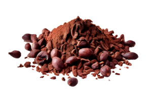 Cacao nibs, crushed and peeled cocoa, isolated on transparent background, cut out, or clipping path. png