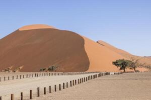 Picture of the famous Dune 45 in Namibia's Soosusvlei National Park during the day against a blue sky photo