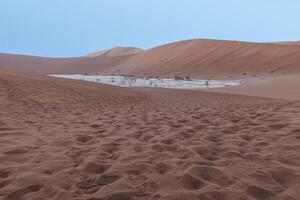 Panoramic picture of the Deadvlei salt pan in the Namib Desert with dead trees in front of red sand dunes in the morning light photo