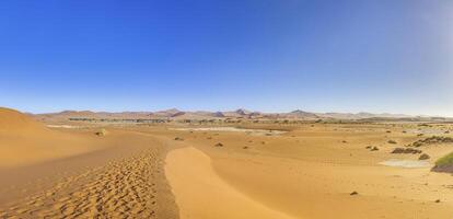 Panoramic picture of the red dunes of the Namib Desert with footprints in the sand against blue sky photo