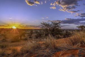 Panoramic picture over the Namibian Kalahari in the evening at sunset with blue sky and light clouds photo