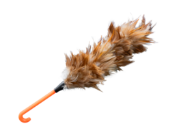 Feather duster isolated on transparent background. File png