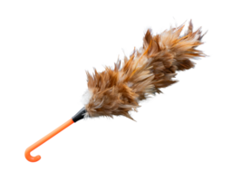 Feather duster isolated on transparent background. File png