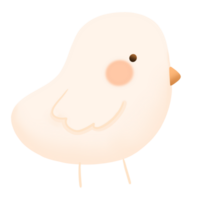 un linda pequeño pájaro en transparente antecedentes png