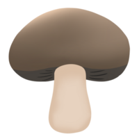 clip art di funghi png