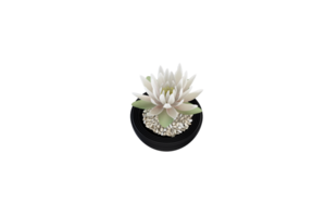 en vas med blommor på en transparent bakgrund png