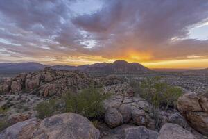 Panoramic picture of Damaraland in Namibia during sunset photo